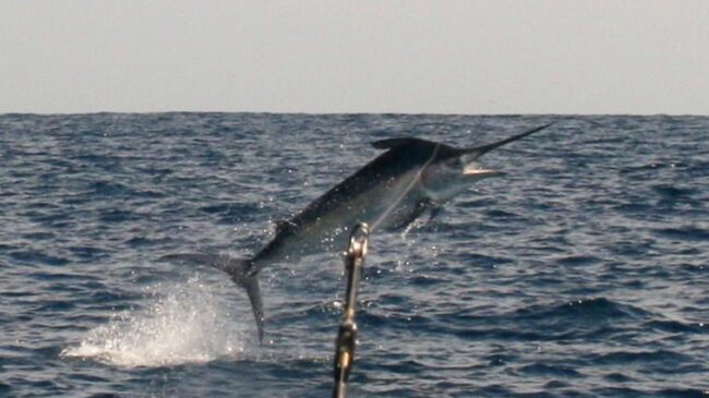 548599_300953629973784_1231154884_n