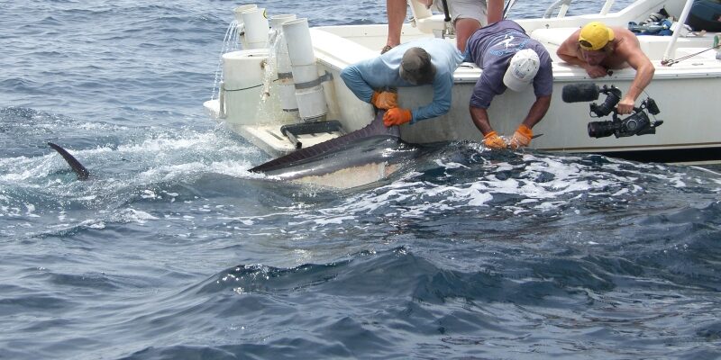 SAMSUNG DIGITAL CAMERA