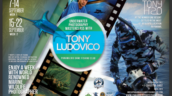 Tony Ludovico Masterclass creative FINAL Ver Landscape