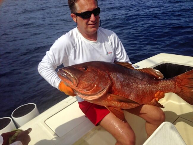 Big Game Fishing Tours in Panama