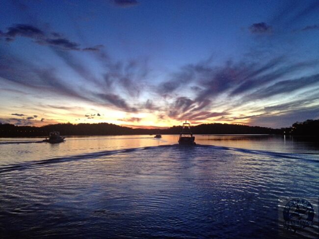 Big Game Fishing Tours in Panama