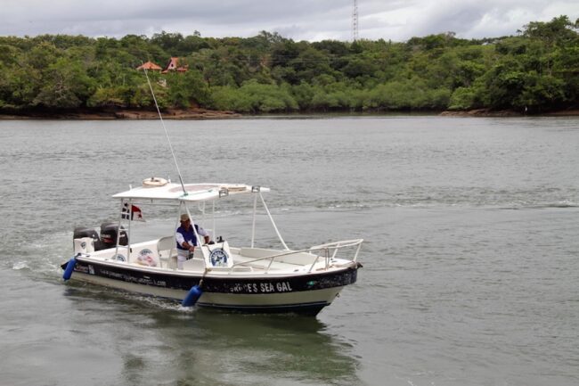 Big Game Fishing Tours in Panama