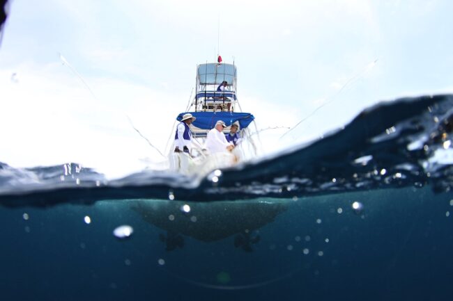 Big Game Fishing Tours in Panama