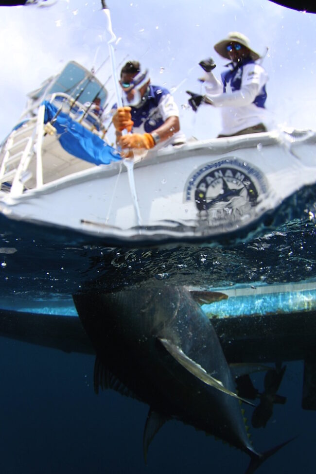 Big Game Fishing Tours in Panama