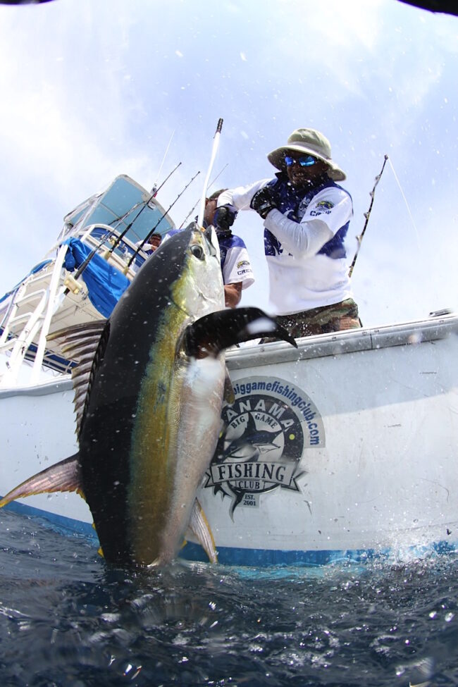 Big Game Fishing Tours in Panama