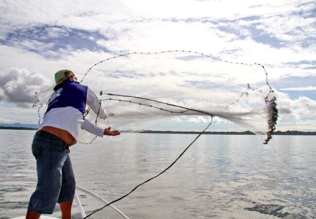 Big Game Fishing Tours in Panama