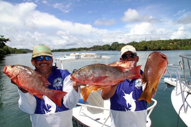Big Game Fishing Tours in Panama