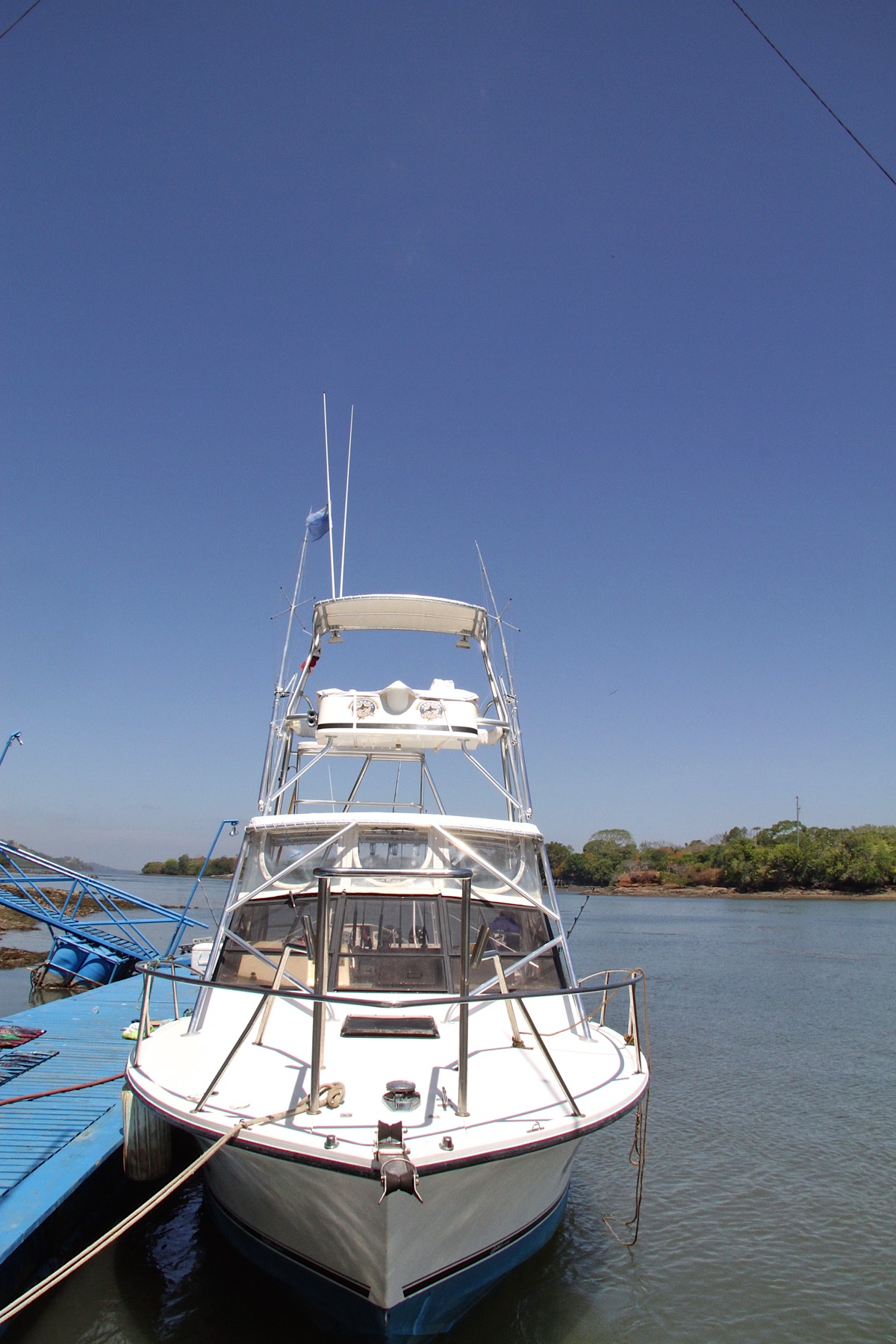 Big Game Fishing Tours in Panama