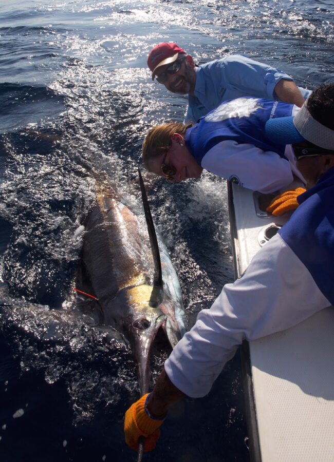 Big Game Fishing Tours in Panama