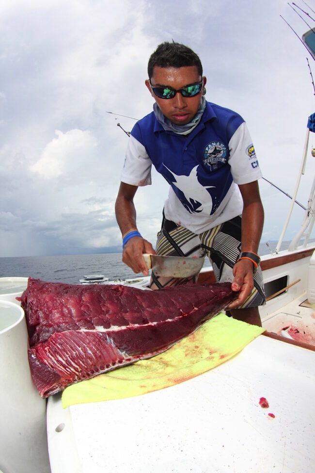 Big Game Fishing Tours in Panama