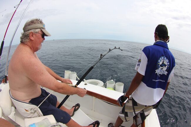 Big Game Fishing Tours in Panama