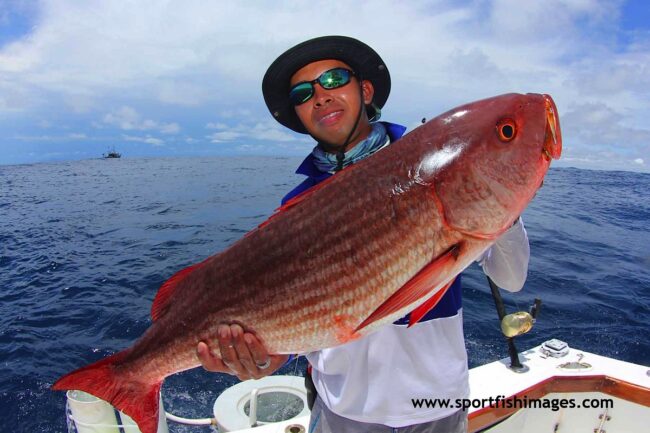 Big Game Fishing Tours in Panama