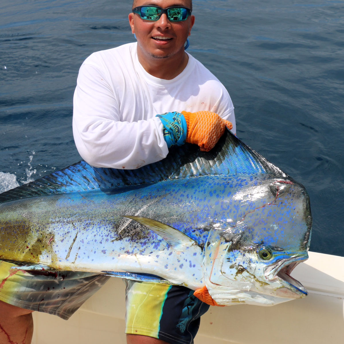 Dolphin Dorado Mahi-mahi caught.