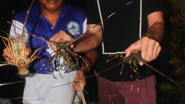 Panama Big Game Fishing Club Food