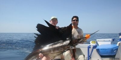 sailfish_wallace2