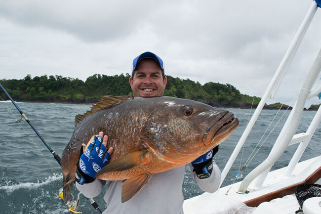 Snapper Panama Snapper Fishing.