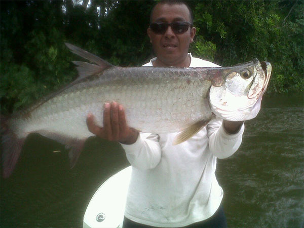Tarpon Fish Panama