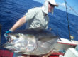 Tuna catch in Panama
