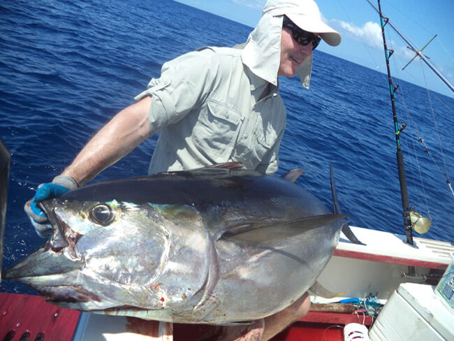 Tuna catch in Panama