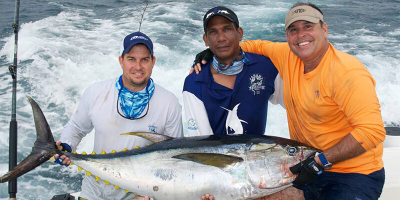 Tuna & Marlin catch Tuna & Marlin catch