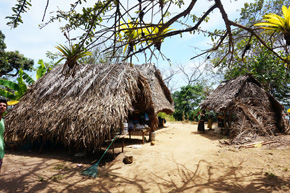 Village Tour in Isla Bocca Brava.